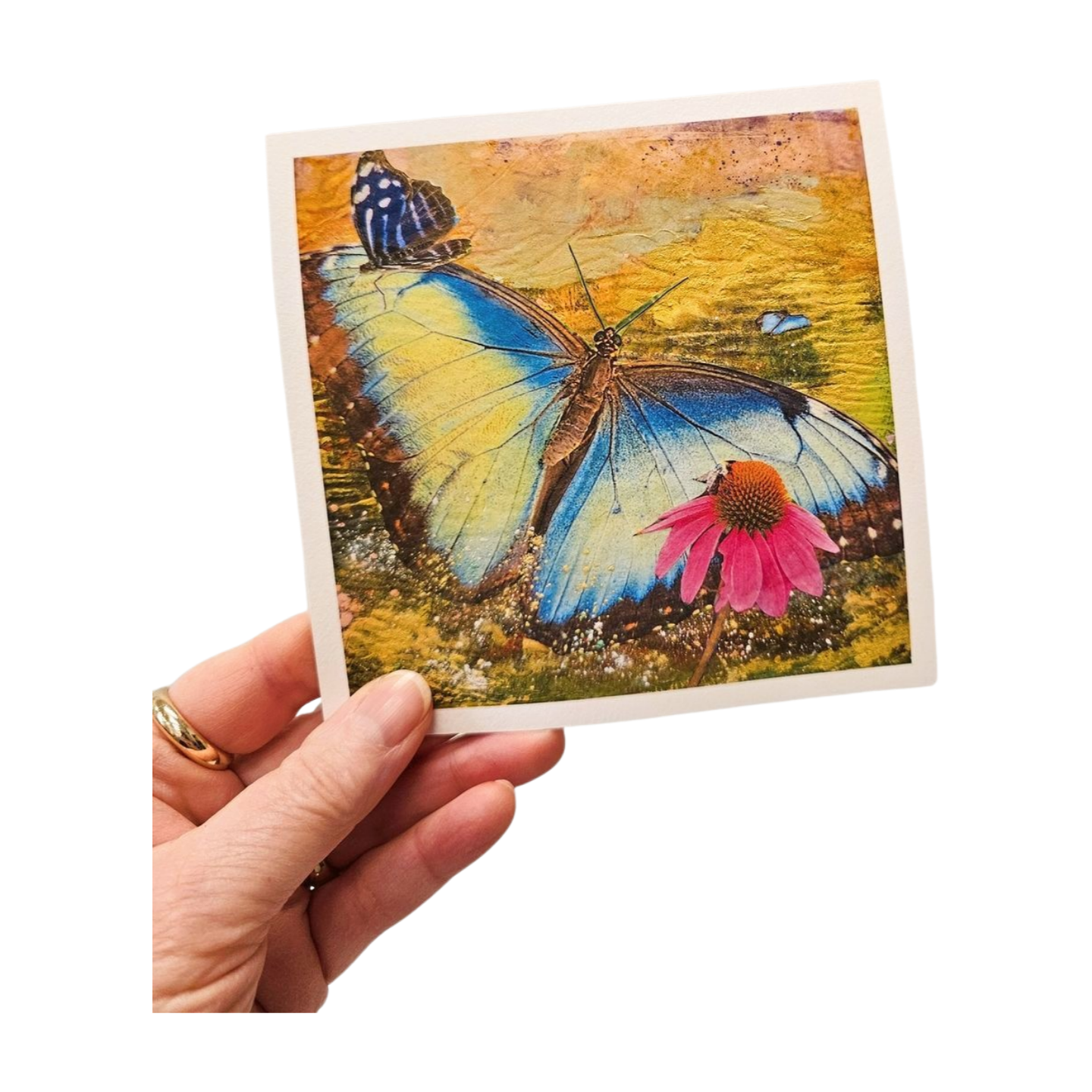 Butterfly Blue $5 Offer