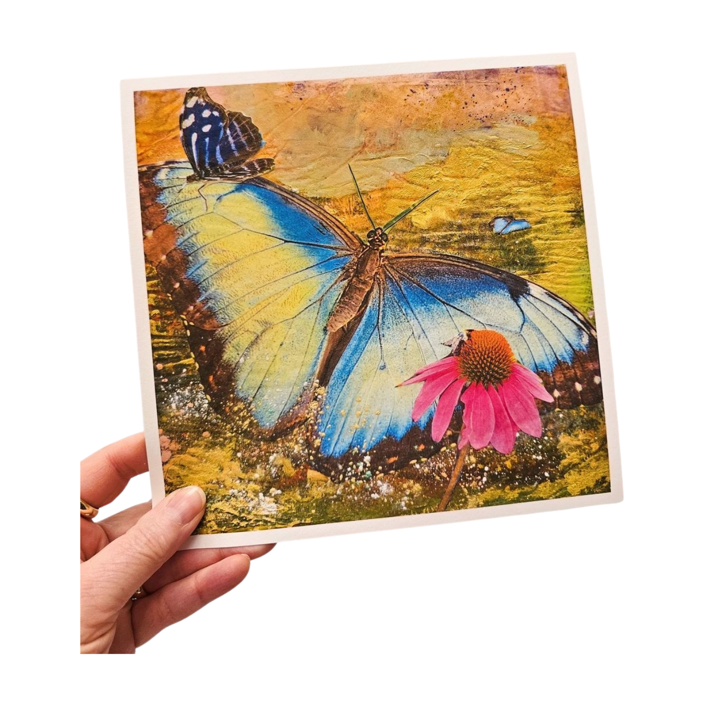 Butterfly Blue $5 Offer
