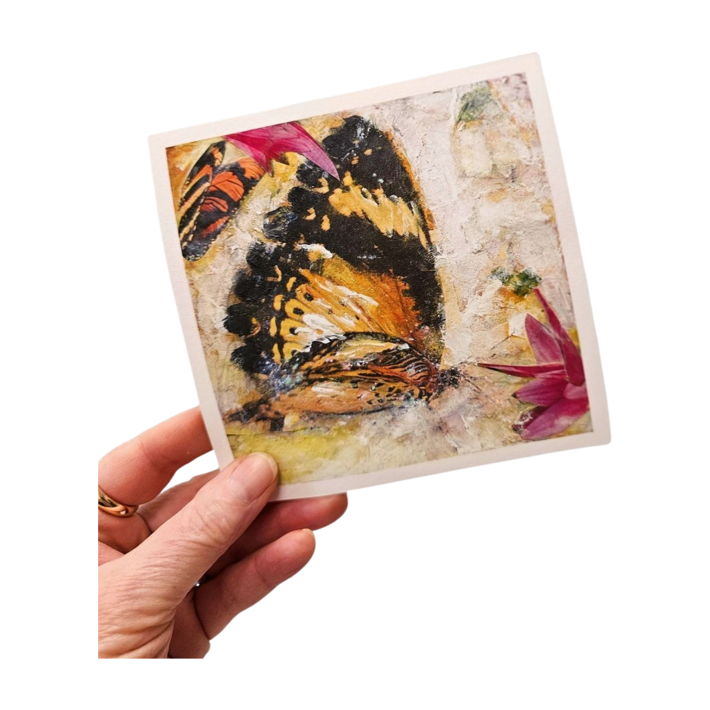 Butterfly Fantasia $5 Offer