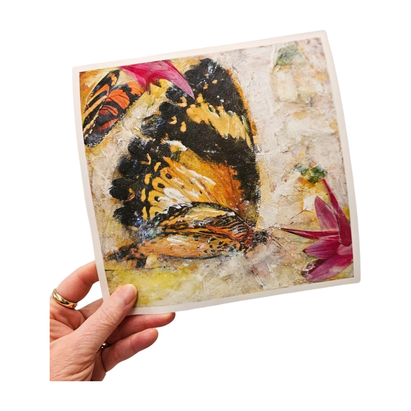 Butterfly Fantasia $5 Offer