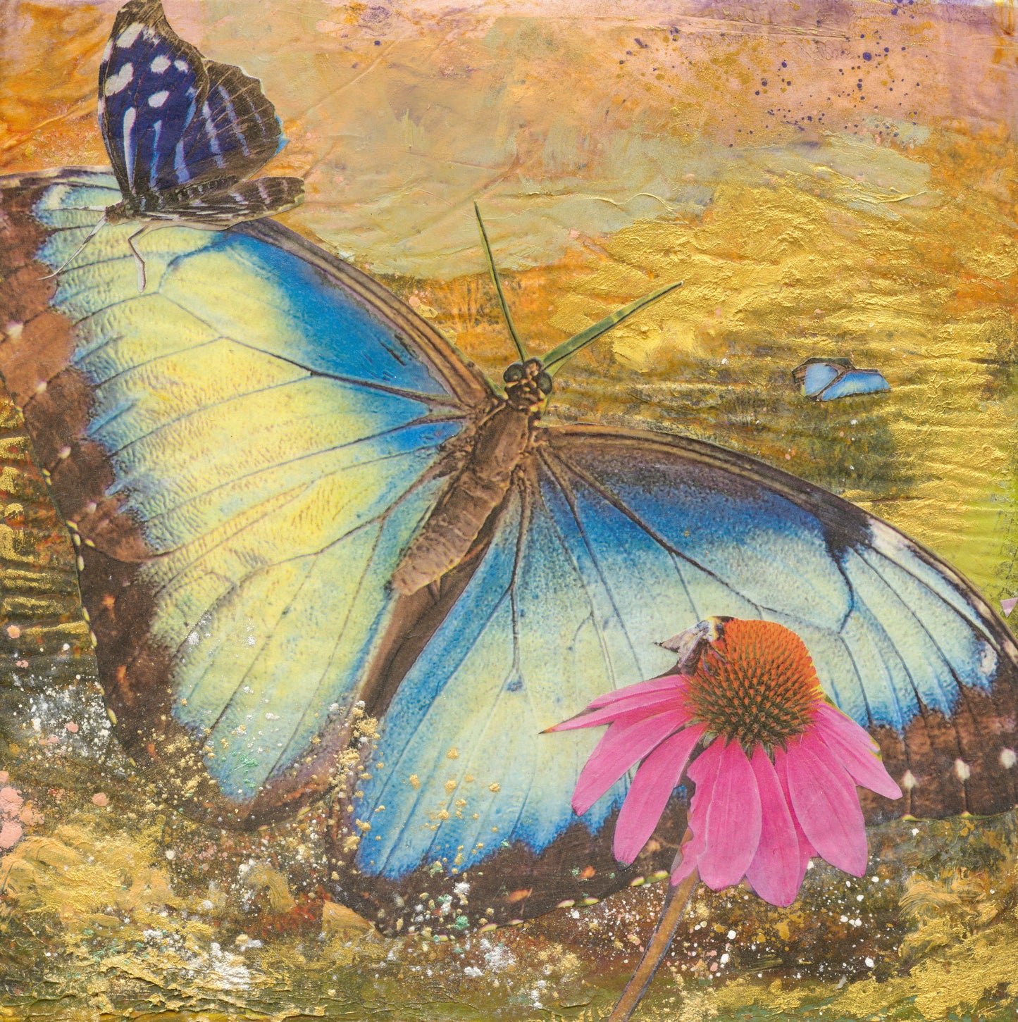 Butterfly Blue $5 Offer