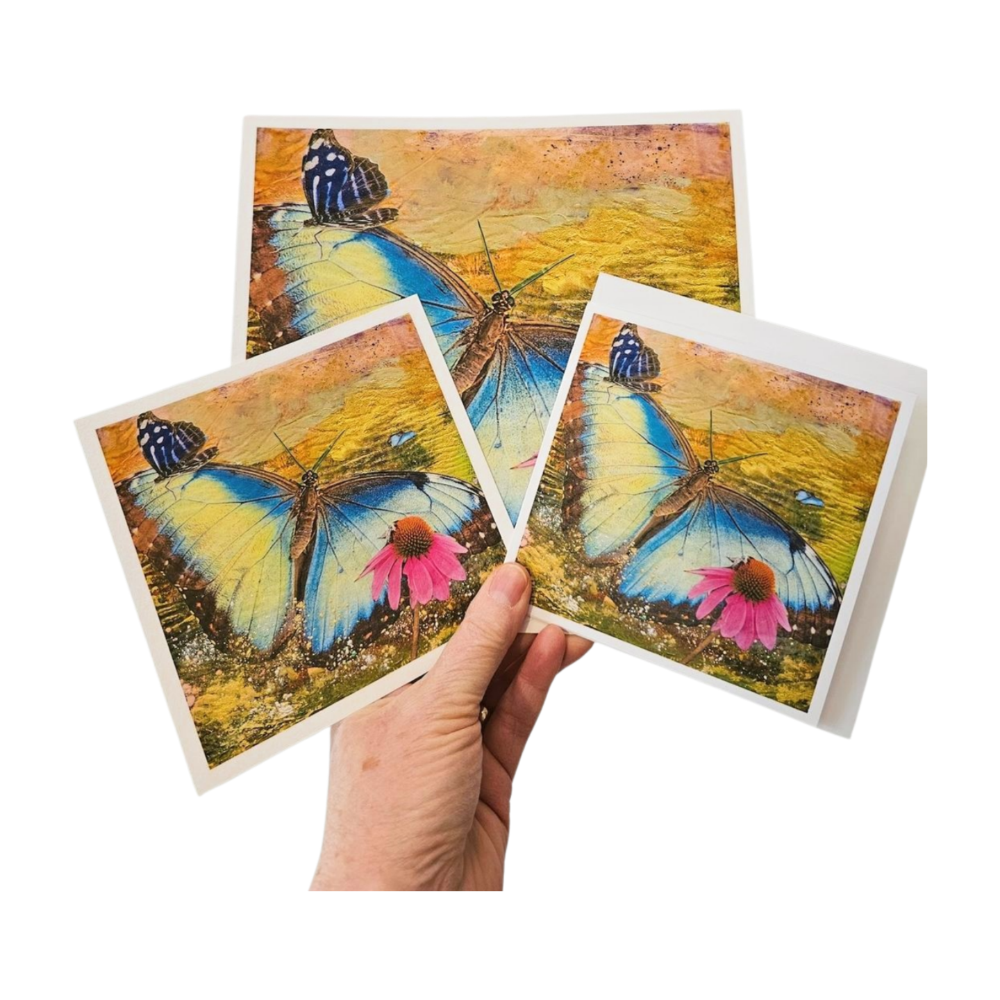 Butterfly Blue $5 Offer