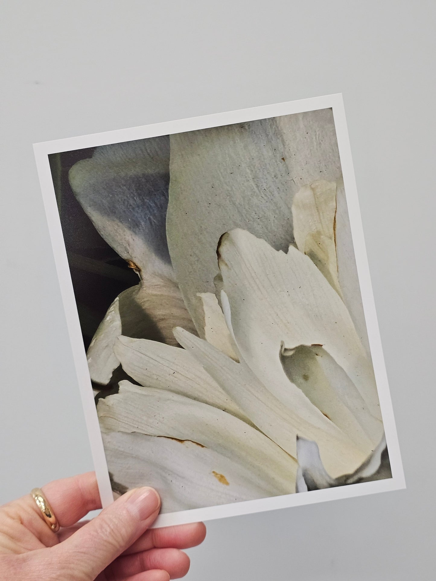 Abstract Wall Art, Black, White Photo Abstract Wall Art, Vertical Abstract Wall Art, Floral B&W Photo Abstract Wall Art
