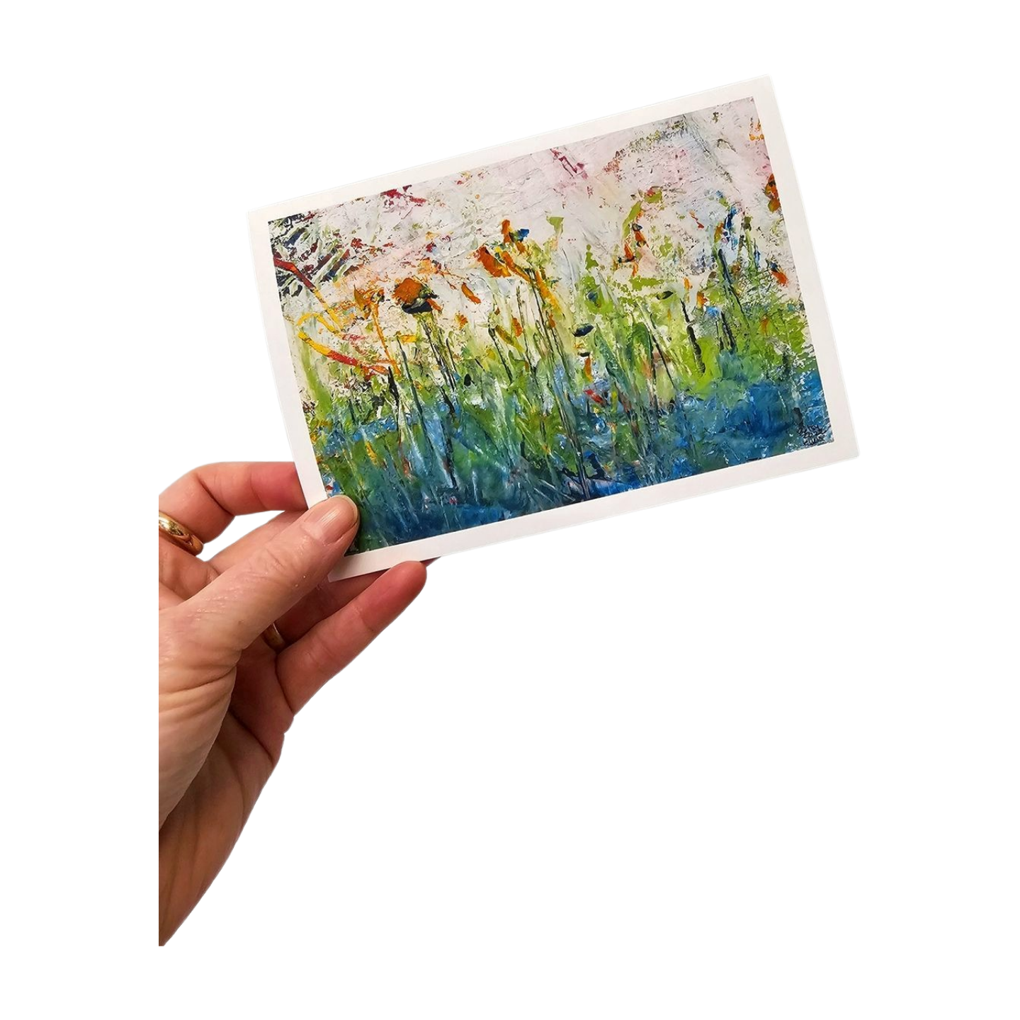 Tiger Lilies $5 Offer